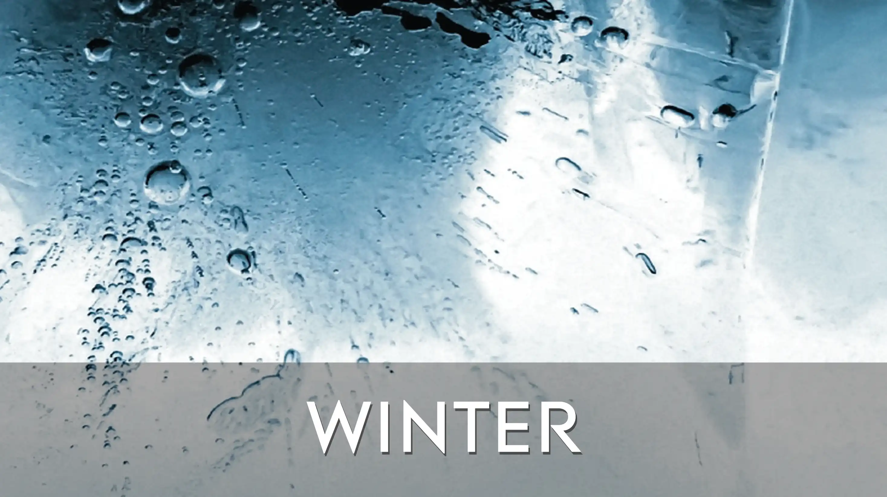 Staff Playlists - Winter